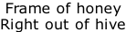 Frame of honey Right out of hive
